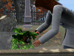 A woman picks a strange-looking flower from a bush in a graveyard.