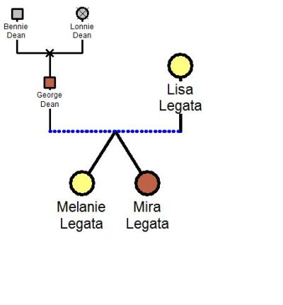 a genogram depicting 3 generations of a family